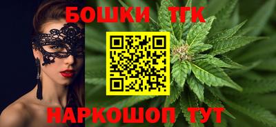 гидра Заводоуковск