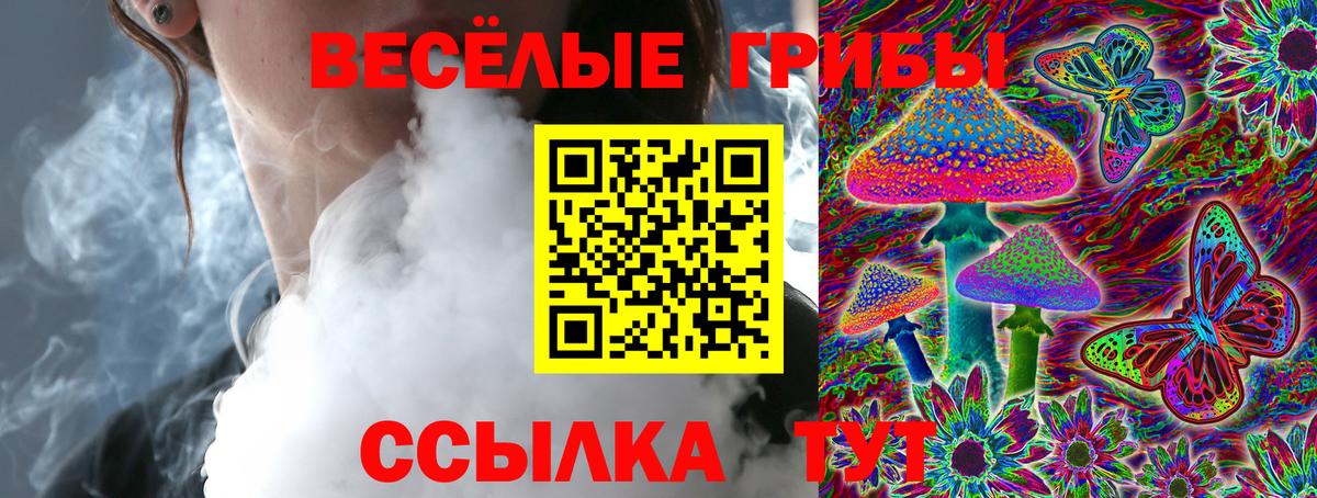 Псилоцибиновые грибы мухоморы Алапаевск